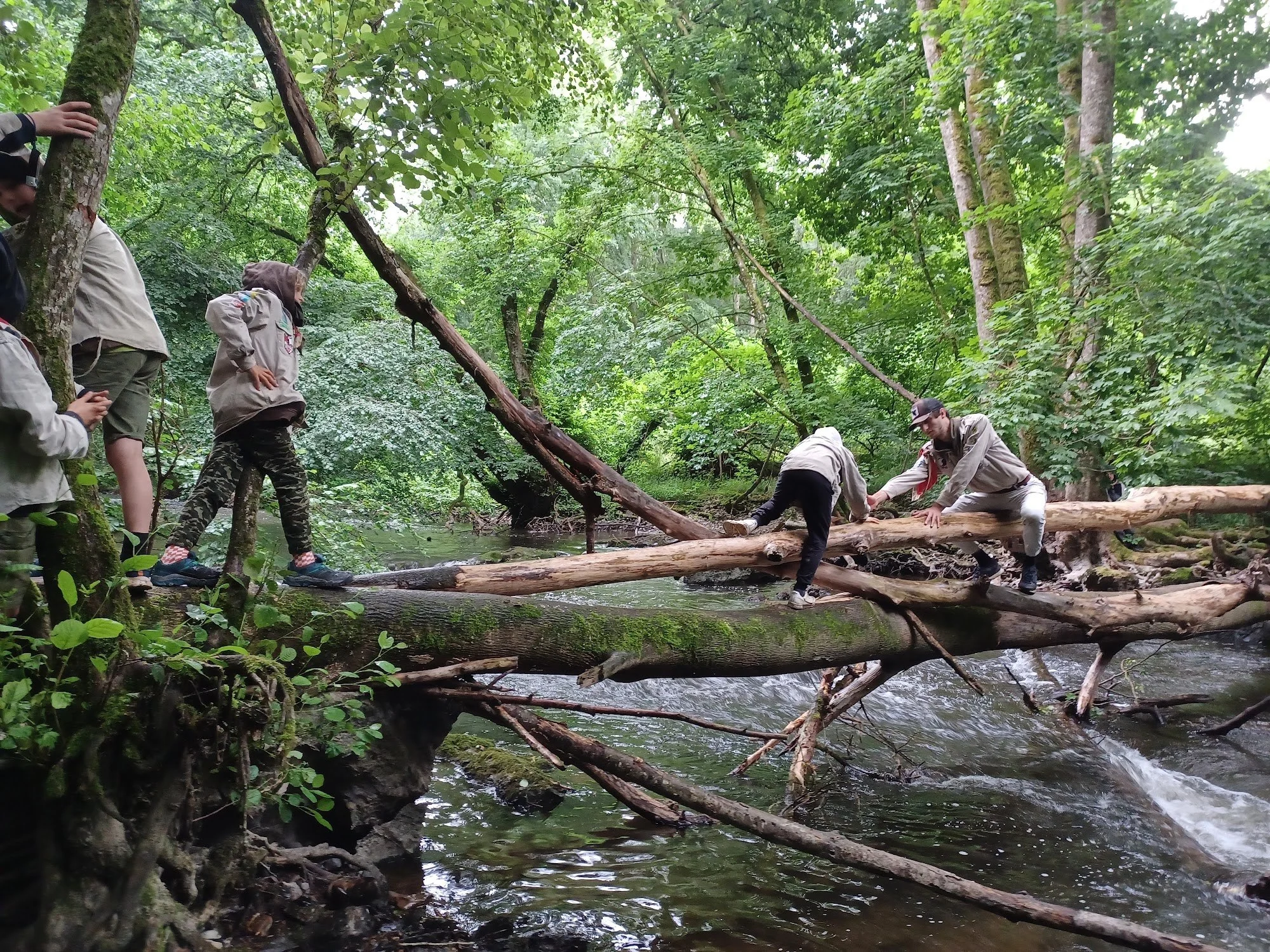 Jongverkenners in uniform klauteren over een omgevallen boomstam boven een beek in het bos